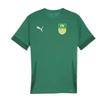 Puma - FTF Trikot GOAL Torhüter (kurzärmlig)