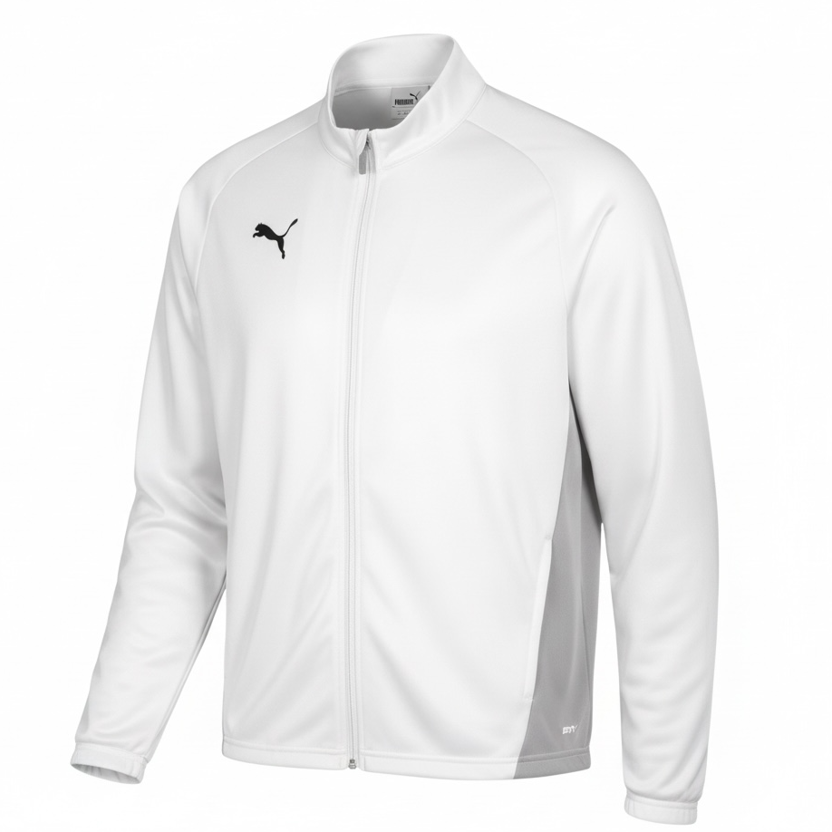 Puma - teamGOAL Trainingsjacke grün