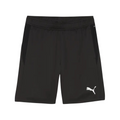 Puma - FTF teamGOAL Training Short