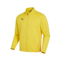 Puma - FTM teamGOAL Training Jacket