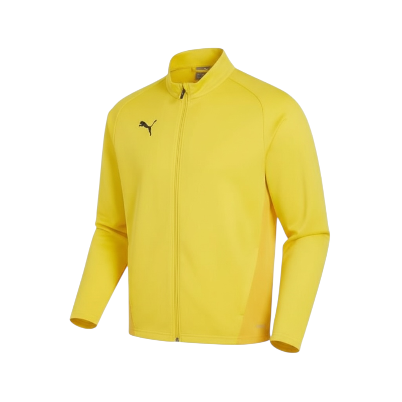Puma - FTF teamGOAL Trainingsjacke