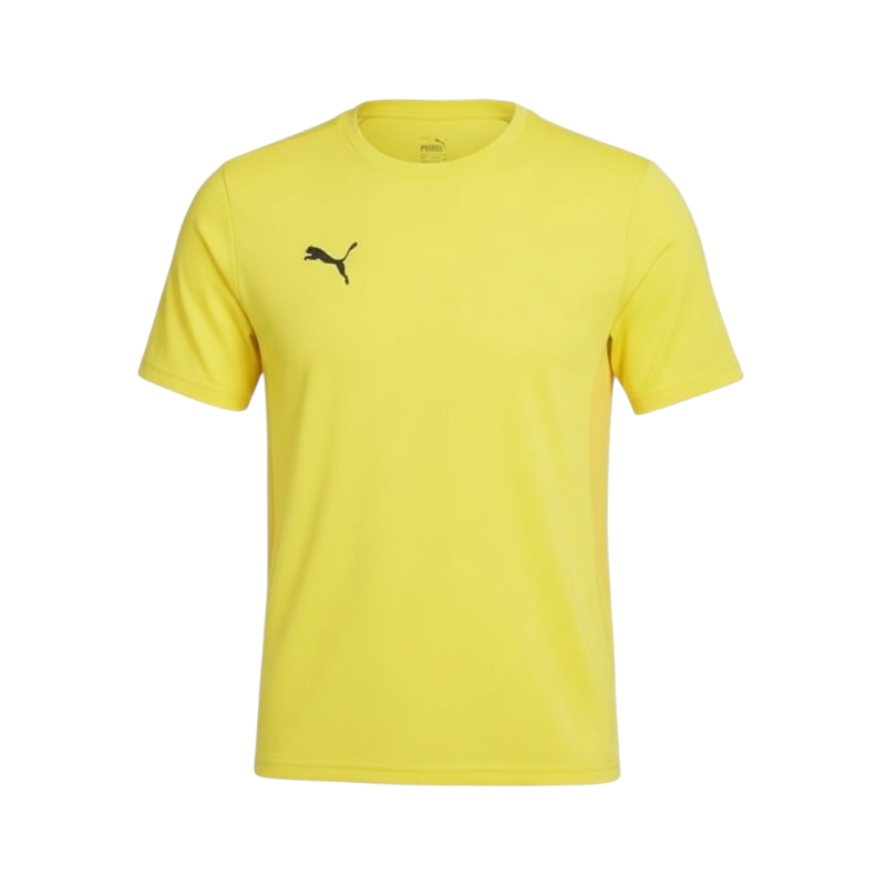 Puma - FTF teamGOAL T-Shirt