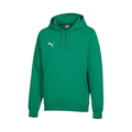Puma - FTM teamGOAL Casuals Hoodie