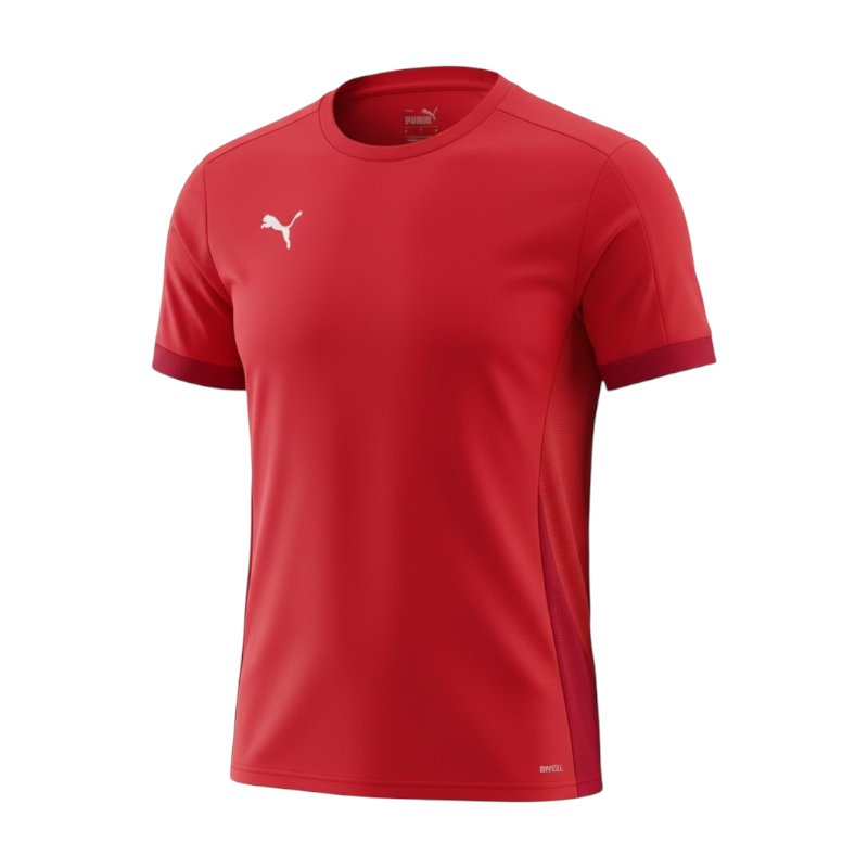 Puma -  SGP teamGOAL Trainingsshirt red