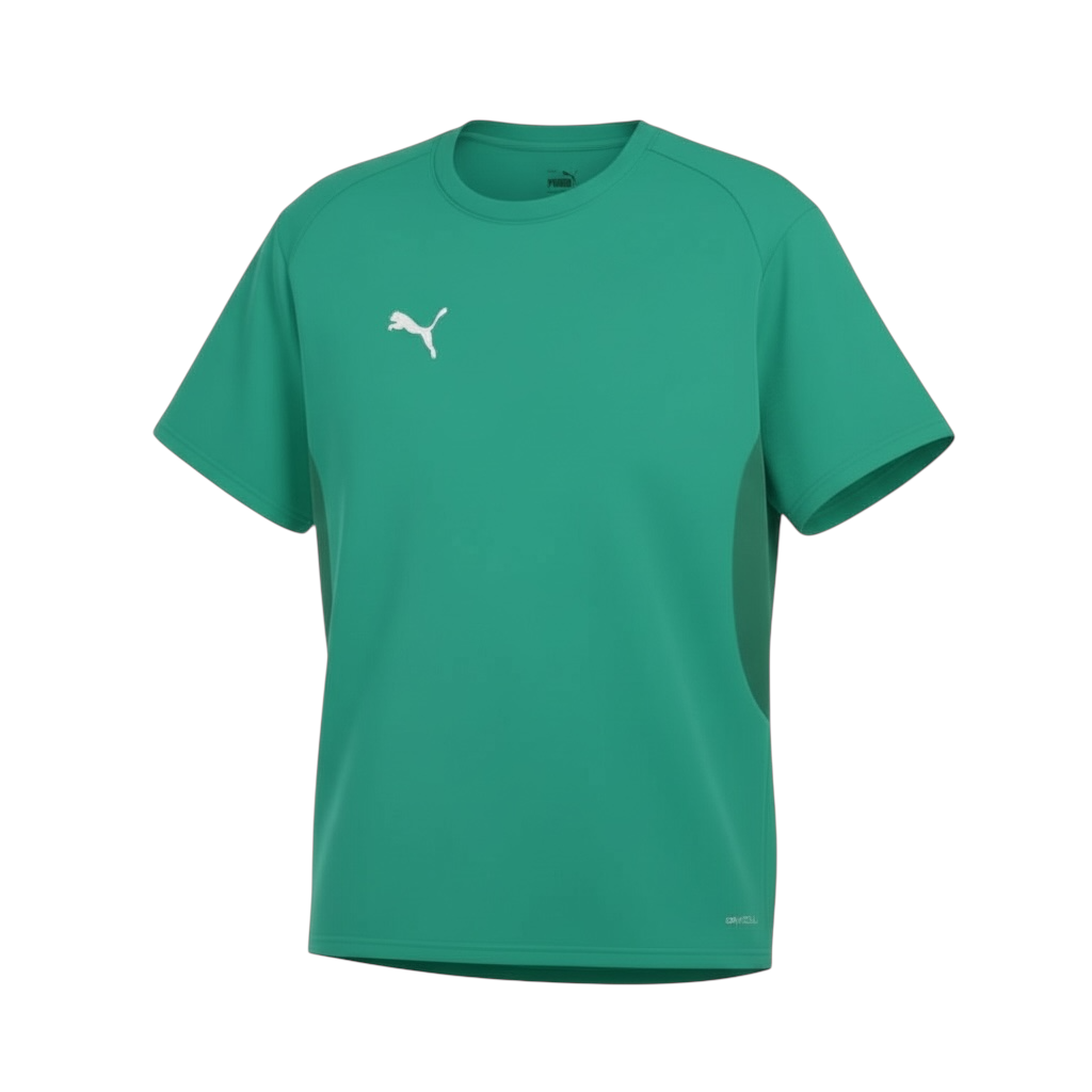 Puma - 1. FCP teamGOAL T-Shirt