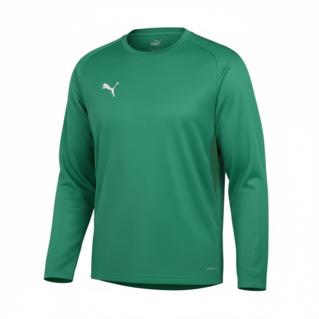 Puma - 1. FCP teamGOAL Sweatshirt